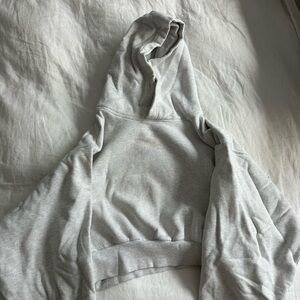 Aritzia Cropped Hoodie